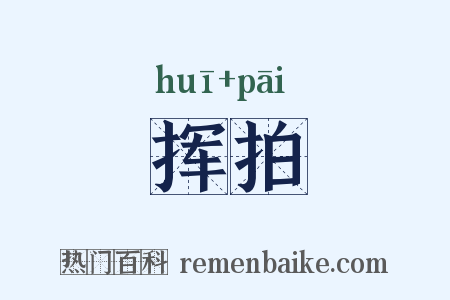挥拍是什么意思的图片